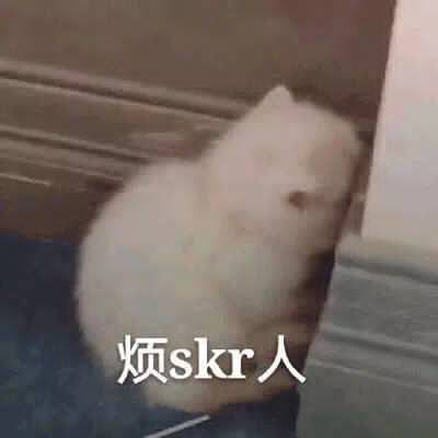 烦skr人