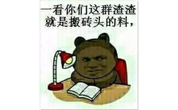 看你们这群渣渣，就是搬砖头的料