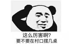 这么厉害啊？要不要在村口摆几桌