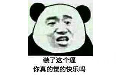 装了这个逼你真的觉的快乐吗