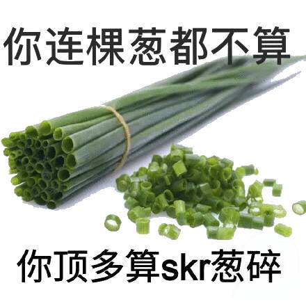 你连棵葱都不算，你顶多算skr葱碎