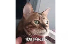 我猜你是想