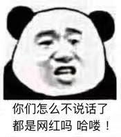 你们怎么不说话了，都是网红吗？哈喽！