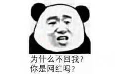 为什么不回我？你是网红吗？