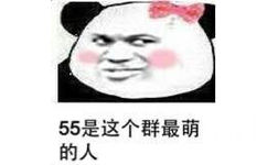 55是这个群最萌的人