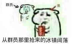 我从群员那里抢来的冰镇阔落