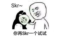 SKR你再SKR一个试试