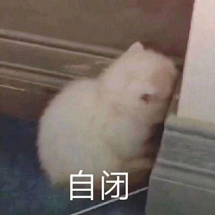 自闭