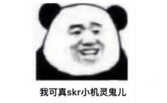 我可真skr小机灵鬼儿