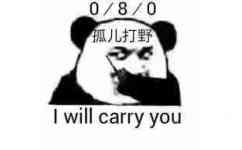 i will carry you