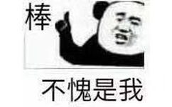 棒，不愧是我