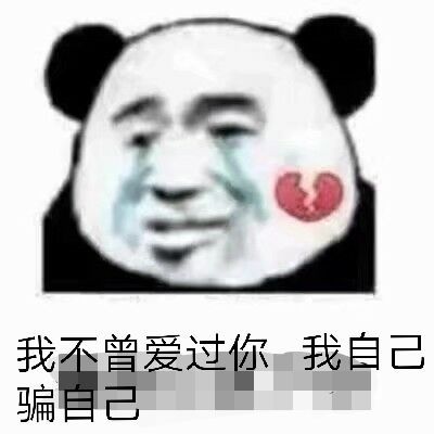 我不曾爱过你，我自己骗自己