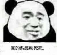 真的系感动死死