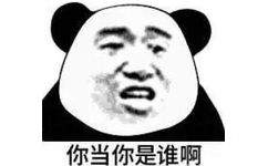 你当你是谁啊