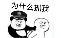 为什么抓我（不要跑）