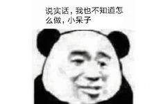 说实话，我也不知道怎么做，小呆子