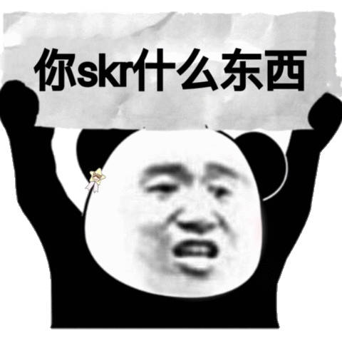 你skr什么东西