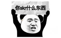 你skr什么东西