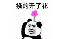 挠的开了花