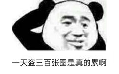 一天盗三百张图是真的累啊