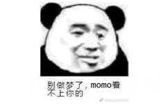 别做梦了，momo看不上你的