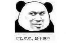 可以弟弟，是个崽种