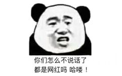 你们怎么不说话了？都是网红吗，哈喽