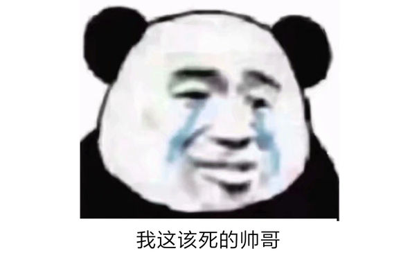 我这该死的帅哥