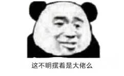 这不明摆着是大佬么