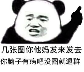 几张图你他妈发来发去，你脑子有病吧没图就退群