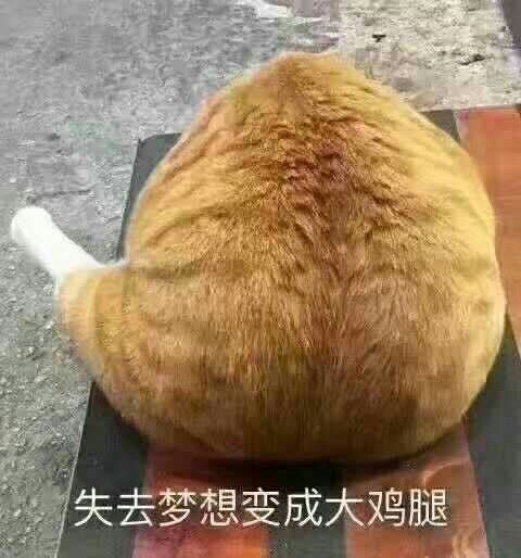 失去梦想变成大鸡腿