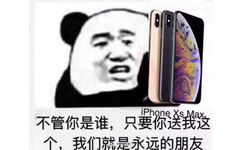 不管你是谁，只要你送我这个，我们就是永远的朋友（iphone xs max）