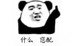 什么您配