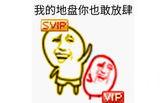 我的地盘你也敢放肆（VIP）