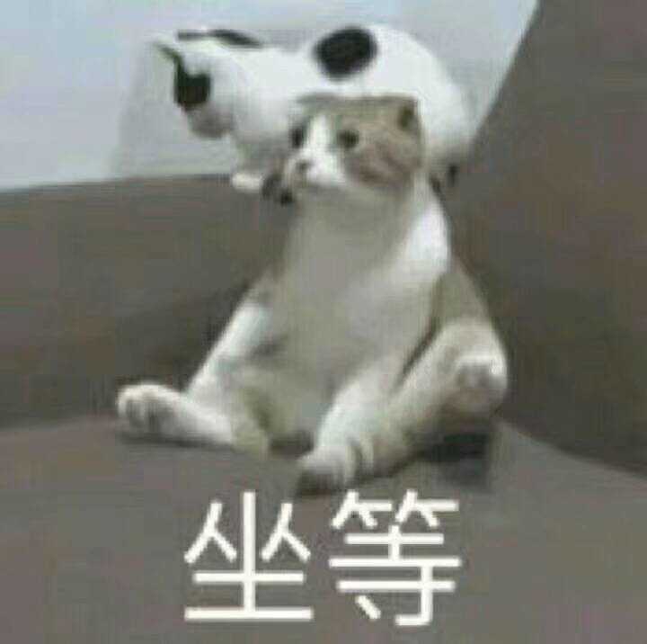 坐等