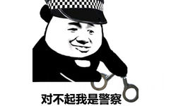 对不起我是警察