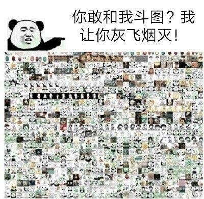 你敢和我斗图？我让你灰飞烟灭！