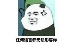 任何语言都无法形容你