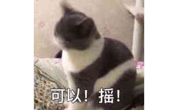 可以！摇！