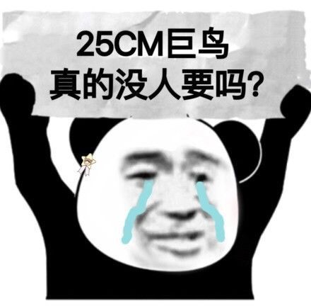 25CM巨鸟真的没人要吗？