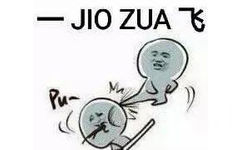 JIO ZUA 飞