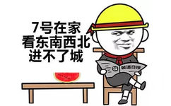 ７号在家看东南西北进不了城通日