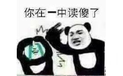 你在一中读傻了