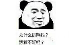 为什么挑衅我？活看不好吗？