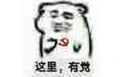 这里，有党