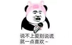 说不上爱别说谎，就一点喜欢~