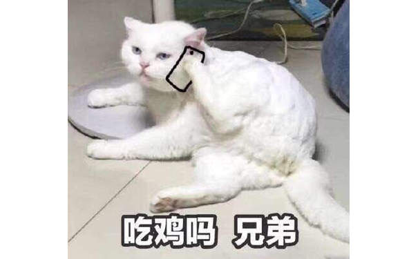 吃鸡吗？兄弟