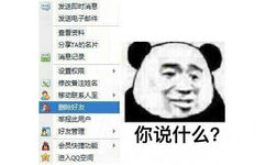 你说什么？！马上删除好友