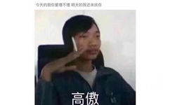 今天的我你爱理不理，明天的我还来找你！高傲