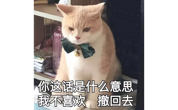 你这话是什么意思 我不喜欢 撤回去（猫咪表情包） - 猫咪表情包第五弹